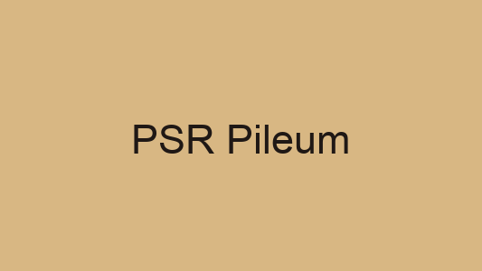 PSR Pileum